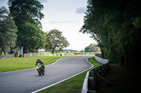 Lower Group Green Bikes